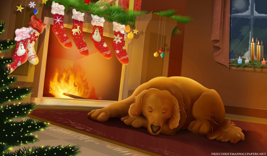 Sleepy Christmas Dog