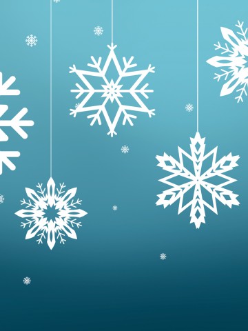 Snowflake Christmas Ornaments