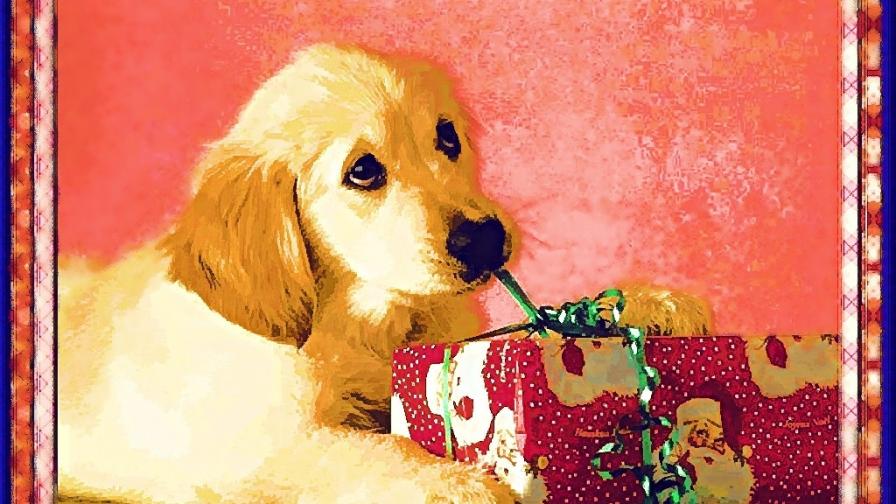 Christmas Dog Painting