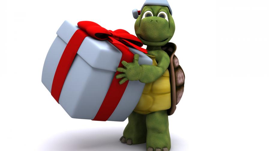 Cute Turtle With Christmas Gift