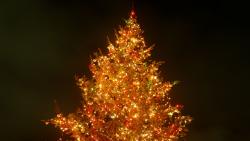 Lighty Christmas Tree
