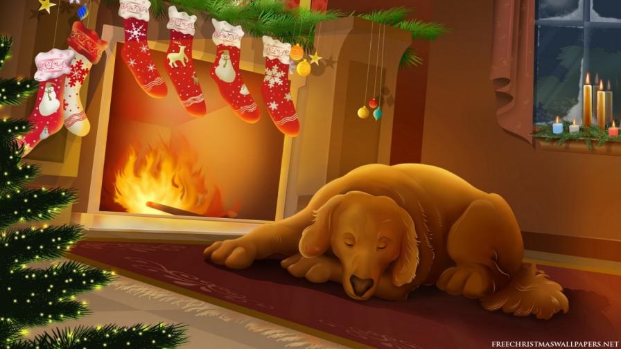 Sleepy Christmas Dog